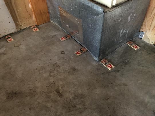 Multiple mouse traps placed along walls