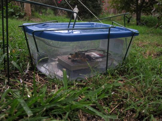 Rat trap set inside plastic container to exclude pets & wildlife