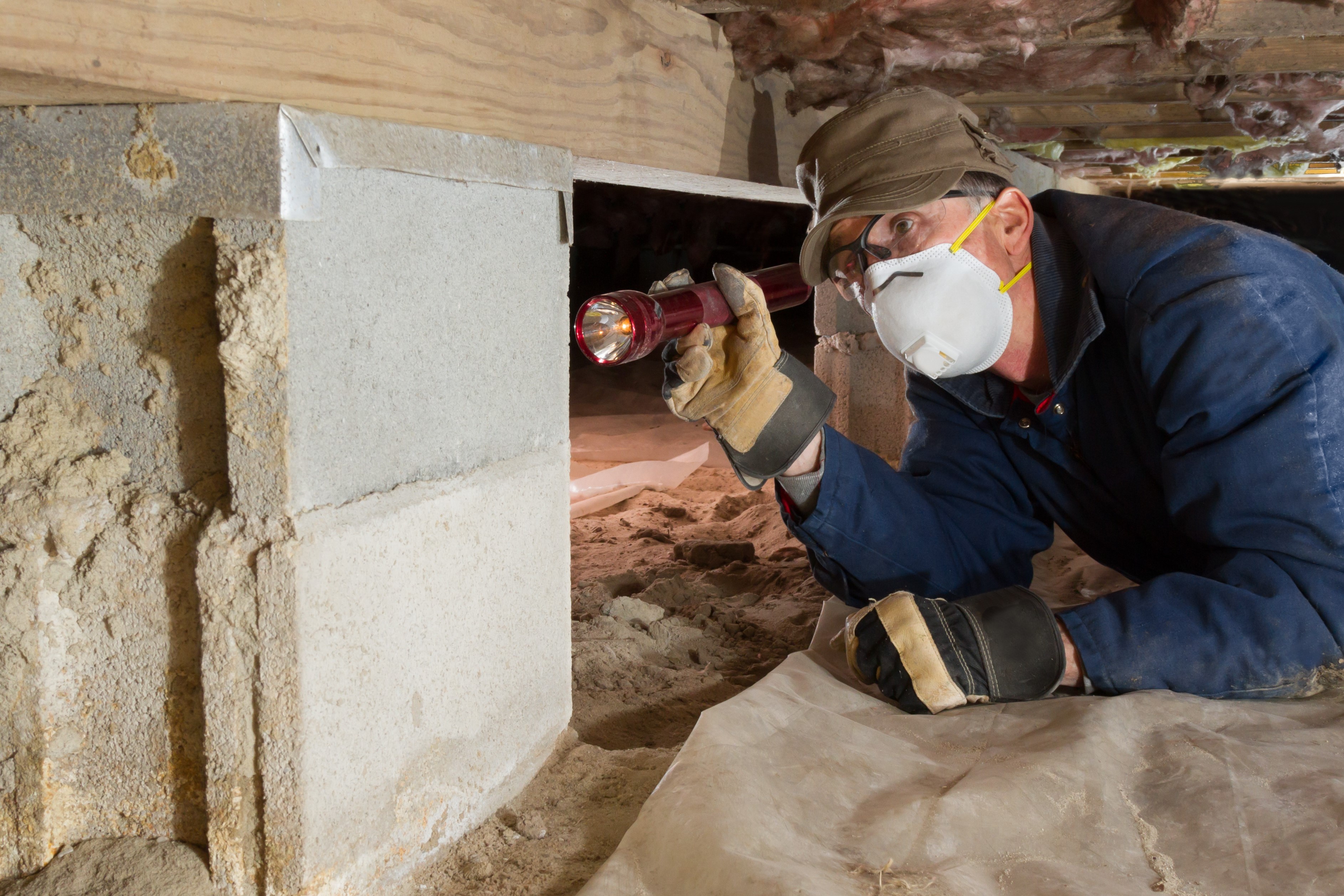 How to Hire A Wildlife Control Operator solvepest