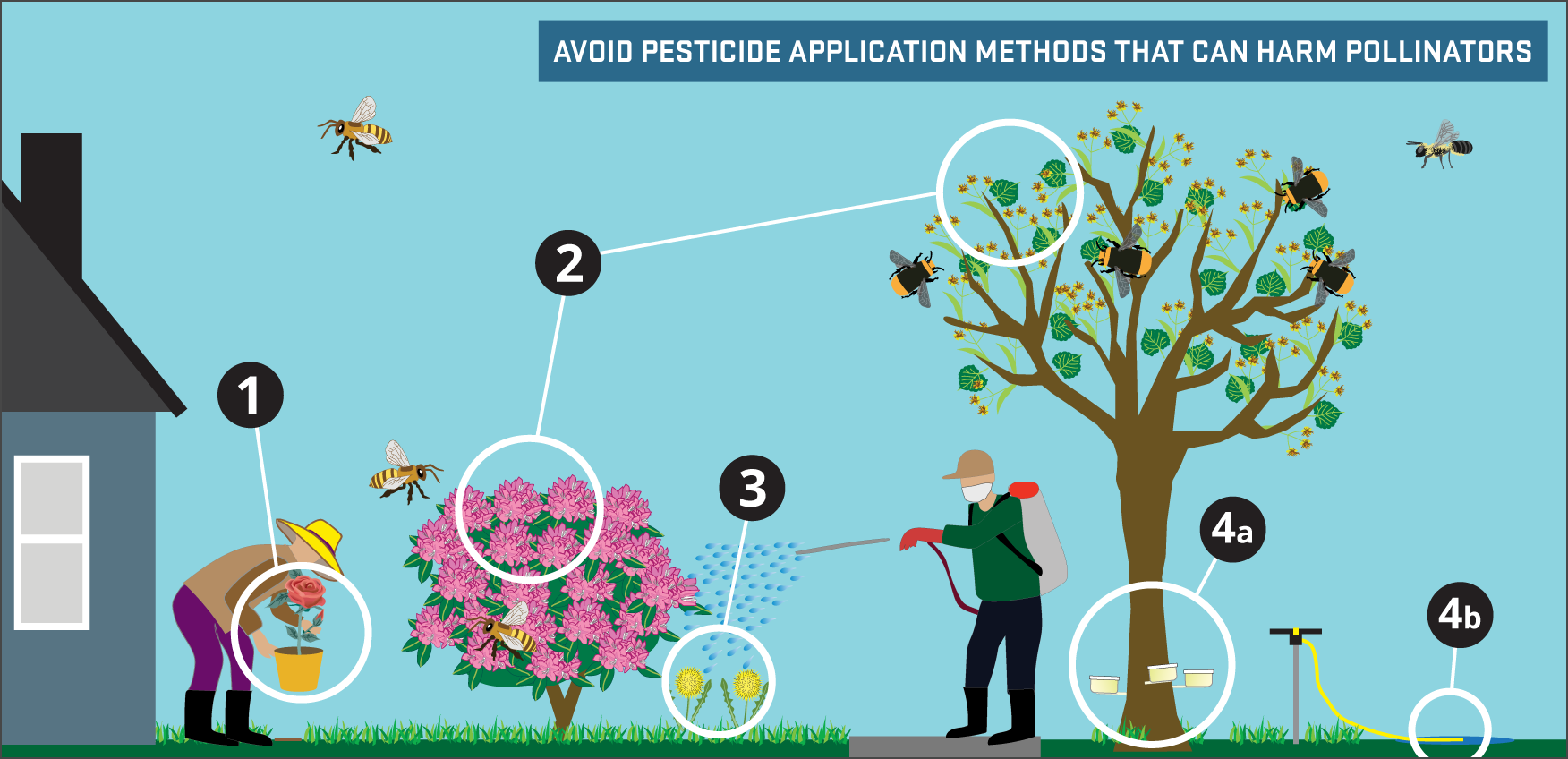 Infographic showing pesticide application methods that can harm pollinators (full text below)