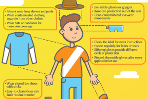 Infographic to promote protective clothing when using pesticides