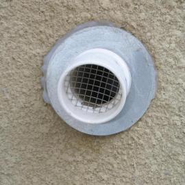 Dryer vent with proper screen to prevent rat entry