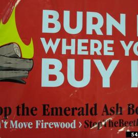 Burn it where you buy it - Don't move firewood sign