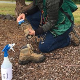 Person cleaning the soles of boots with stiff brush and bleach solution