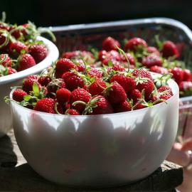 Bowl of freshly-harvested strawberries