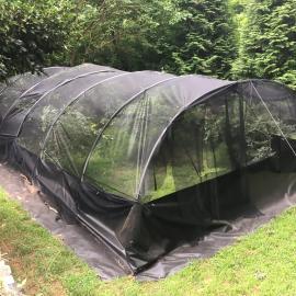 Netting held by hoops over blueberry bed