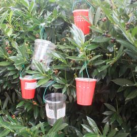 Plastic containers to trap flies