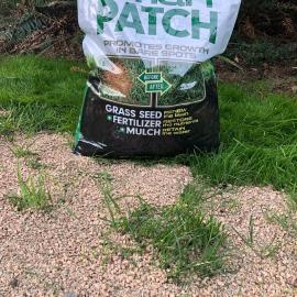 Bag of lawn patch product on grass with product spread over a bare area