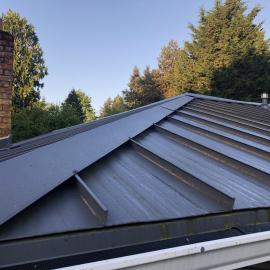 Metal roof with no moss growth
