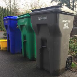 Trash, yard debris, and recycling bins with sturdy lids