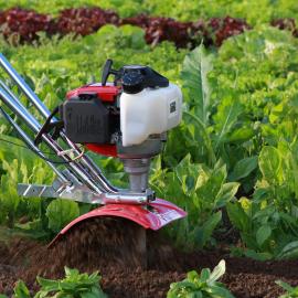 Small cultivator in vegetable garden