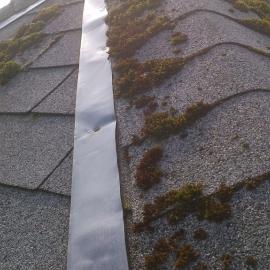 Zinc strip on roof with no moss growing below it