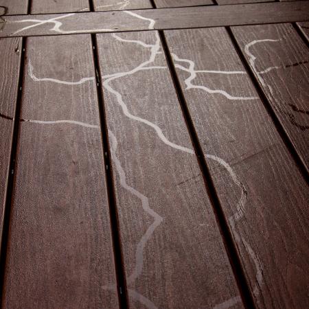 Trails of slime on wooden surface