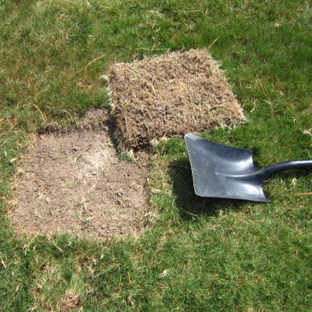 Square shovel next to 1 foot by 1 foot area of removed grass