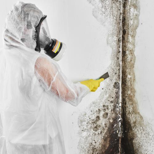 Worker wearing respirator and protective suit and gloves cleaning mold