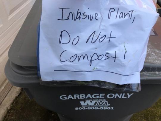Sealable plastic bag next to trash can with note “invasive plant, do not compost” 
