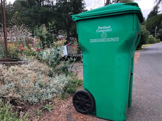 Green waste bin on curb