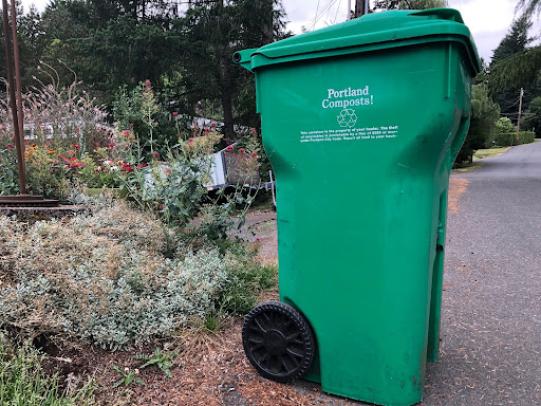Yard debris bin