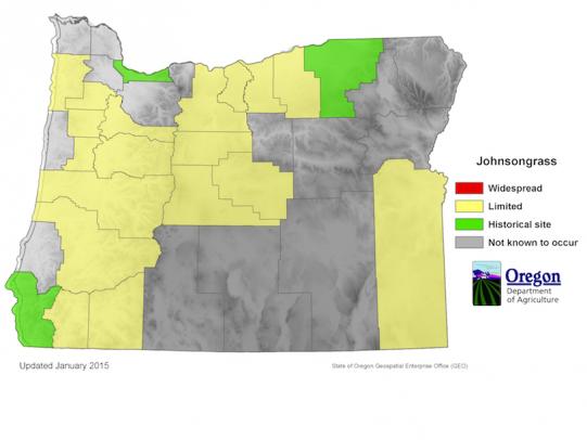 Map of Oregon showing Jonhsongrass distribution