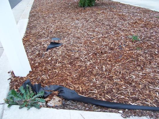 Weed barrier exposed under bark mulch