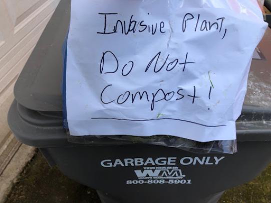Sealable plastic bag next to trash can with note “invasive plant, do not compost”
