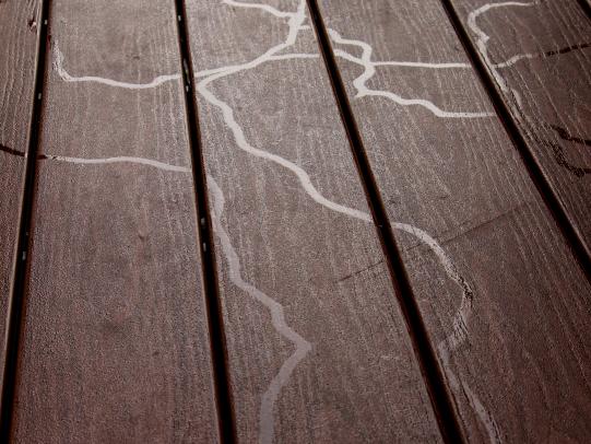 Trails of slime on wooden surface
