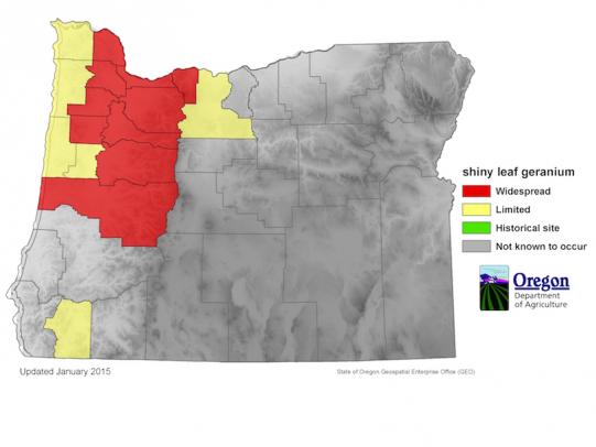 Map of Oregon showing shiny geranium distribution