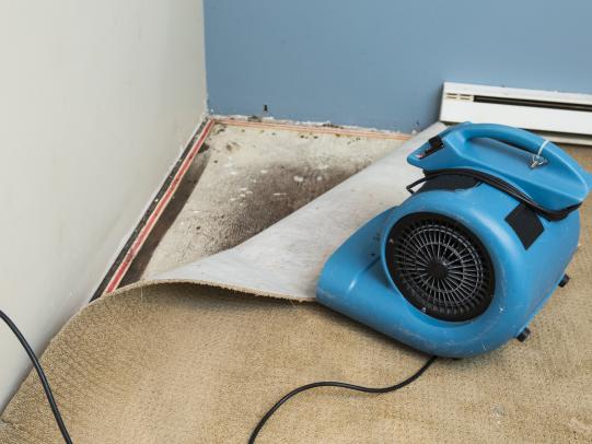 High-volume fan for surfaces after mold removal
