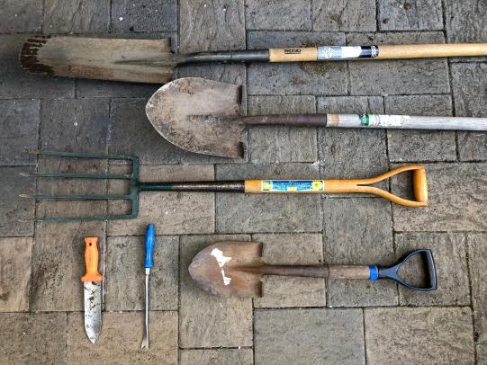 A selection of shovels, digging forks, and hand tools for removing dandelion