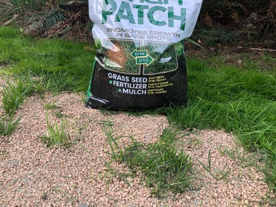 Lawn patch product on lawn with bag nearby
