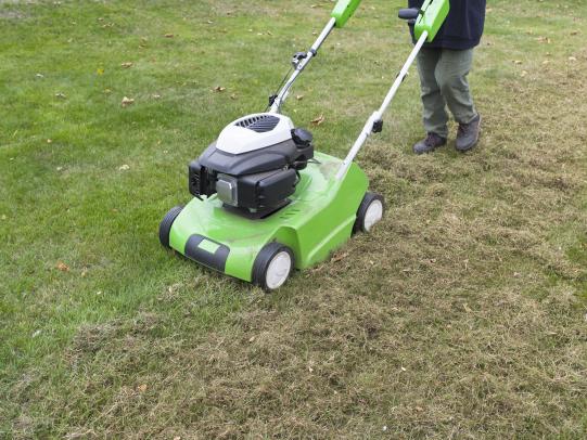 Detaching machine with grass that needs to be raked