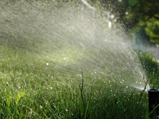 Pop-up sprinkler watering lawn
