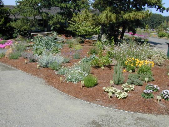 Mounded area with newly installed plants and mulch
