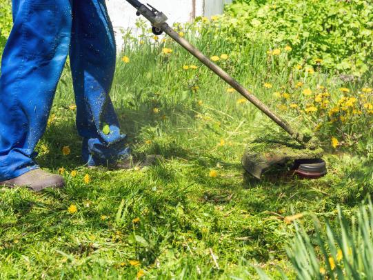 Worker using string trimmer in grassy area