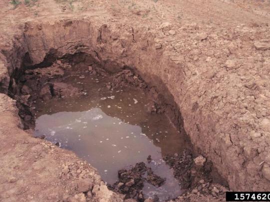 Excavated hole with shallow water table