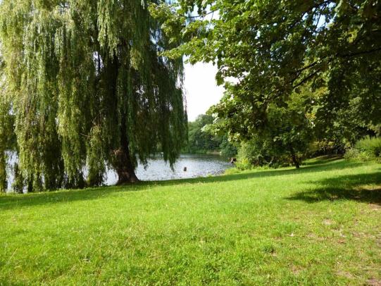 Managed lawn next to lake and trees