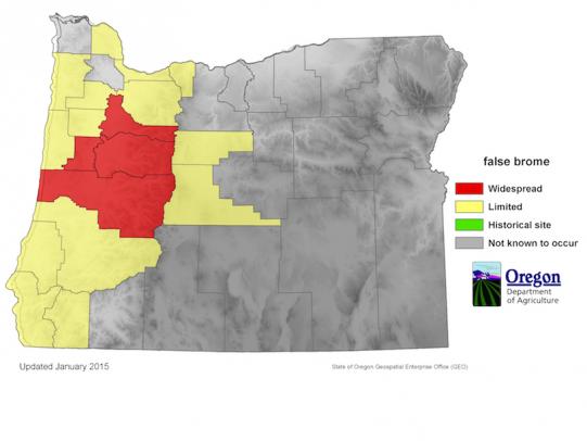 Map of Oregon showing false brome distribution