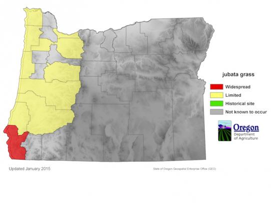 Map of Oregon showing jubatagrass distribution