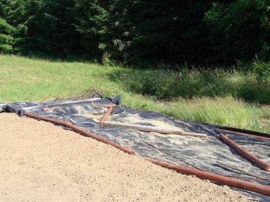 Black plastic on ground used for weed control