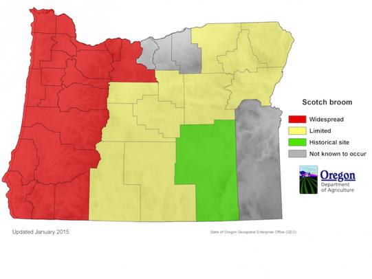 Map of Oregon showing Scotch distribution