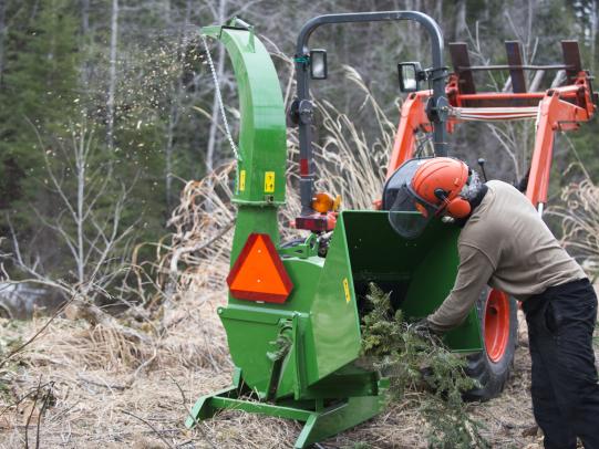 Worker feeding cut plant stems into tractor-mounted chipper