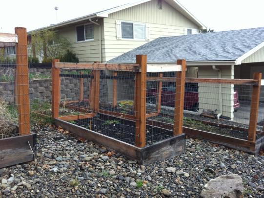 Fences around raised garden beds
