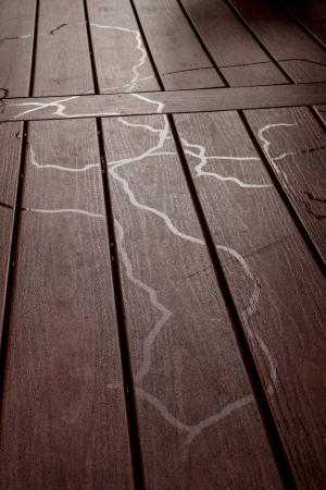 Trails of slime on wooden surface